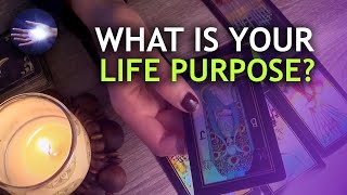 ASMR Life Purpose Tarot Lottery Reading for Patron / Rachel K. screenshot 5