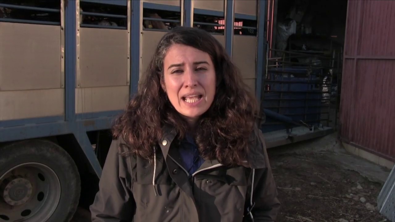 ASÍ ATACAN A NUESTRA GANADERÍA EXTENSIVA Y VACÍAN NUESTROS PUEBLOS.