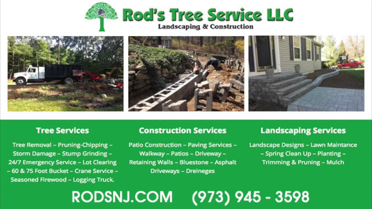 Tree Service Rockaway NJ