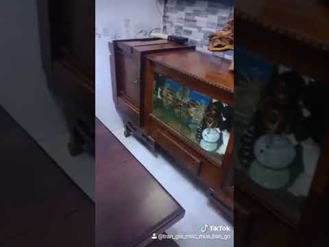 Video Tủ Búp Phê Gỗ Gõ Cánh Nu Xưa - SĐT 0775650680 - youtube