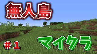 【マイクラ無人島】IQ53万の天才二人が謎解きマップに挑む＃１日目【ふたばと！企画】