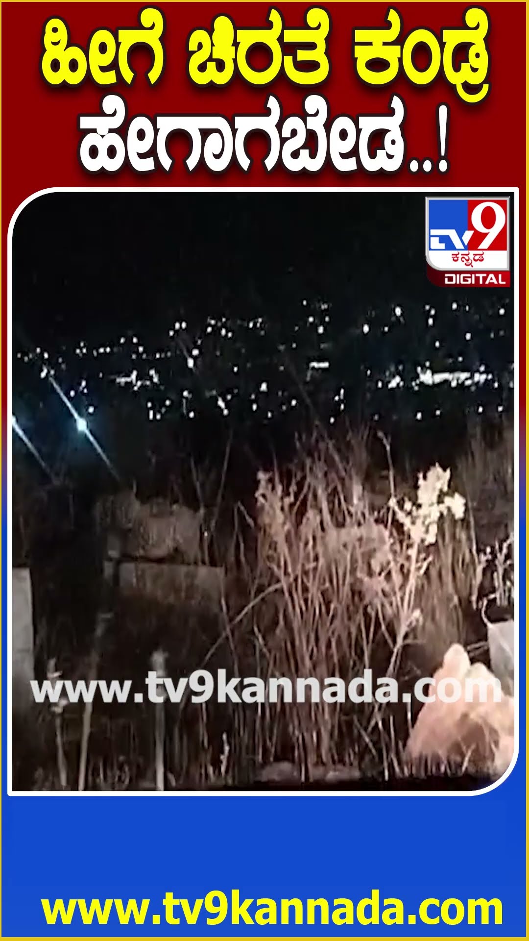ಹೀಗೆ ಚಿರತೆ ಕಂಡ್ರೆ ಹೇಗಾಗಬೇಡ..! #Leopard #Tv9D
