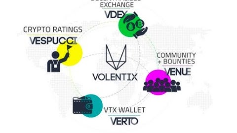 The Volentix Project - The Ecosystem a bird