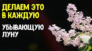 Три полезные фишки или обязательно делаем это в каждую убывающую луну ~ Эзотерика для Тебя ~ Три полезные фишки или обязательно делаем это в каждую убывающую луну ~ Эзотерика для Тебя ~