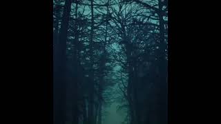 Shadows // Tommee Profitt, Sam Tinesz (slowed)