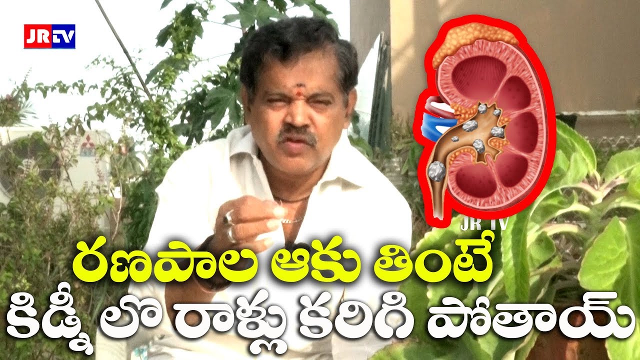 Ranapala Plant Uses In Telugu Kidney Stone Home Remedy Telugu | Ranapala Leaf Uses In Telugu | Health