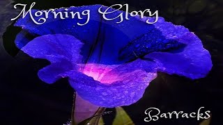 Barracks - Morning Glory