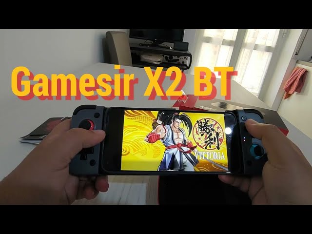 How to Play Super Mario Bros with GameSir T1s Gamepad? – GameSir Official  Store