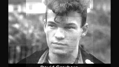 Forever Young A tribute to David Scarboro