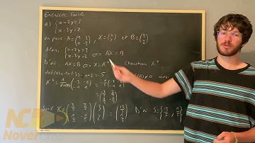 Traduire un système sous forme de matrice ! - Maths expertes Terminale