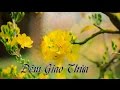 Lời Nguyện "Phép Màu" Đêm Giao Thừa và Lời Chúc Làm Ấm Lòng Bạn