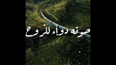" واستغفروا الله إن الله غفور رحيم " تلاوة خاشعة للقارئ عبدالرحمن مسعد / حالات واتس دينية