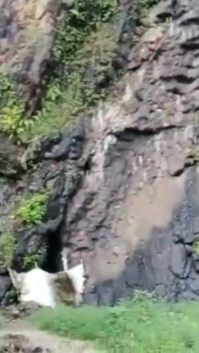 PENAMPAKAN GOA SANGHYANG SIRAH UJUNG KULON #shorts #mukbang #ziarah