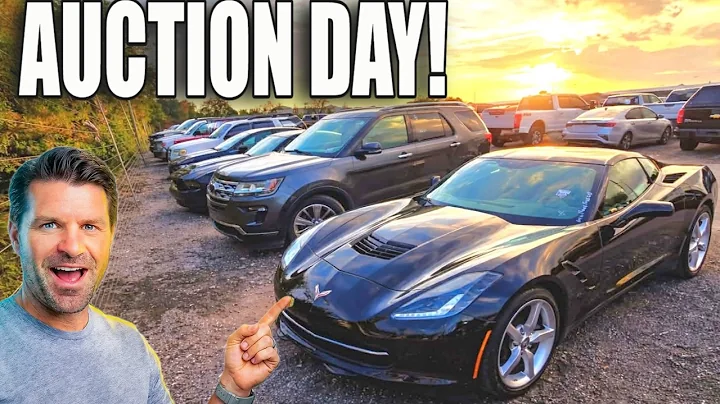 I went to a DEALER AUCTION to try and buy a CHEAP CORVETTE