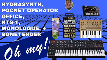 Hydrasynth, Pocket Operator Office PO 24 through a fuzz pedal, Korg Monologue and NTS-1 – Oh my!