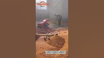 The corn thresher is an expert at peeling corn kernels! From whole sticks to golden grains!