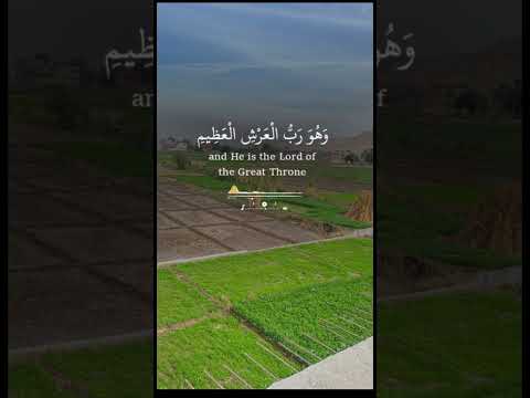 قران كريم بصوت الشيخ ياسر الدوسري قرآن صوت عذب مشاري راشد عبدالباسط عبدالصمد قران كريم بصوت جميل