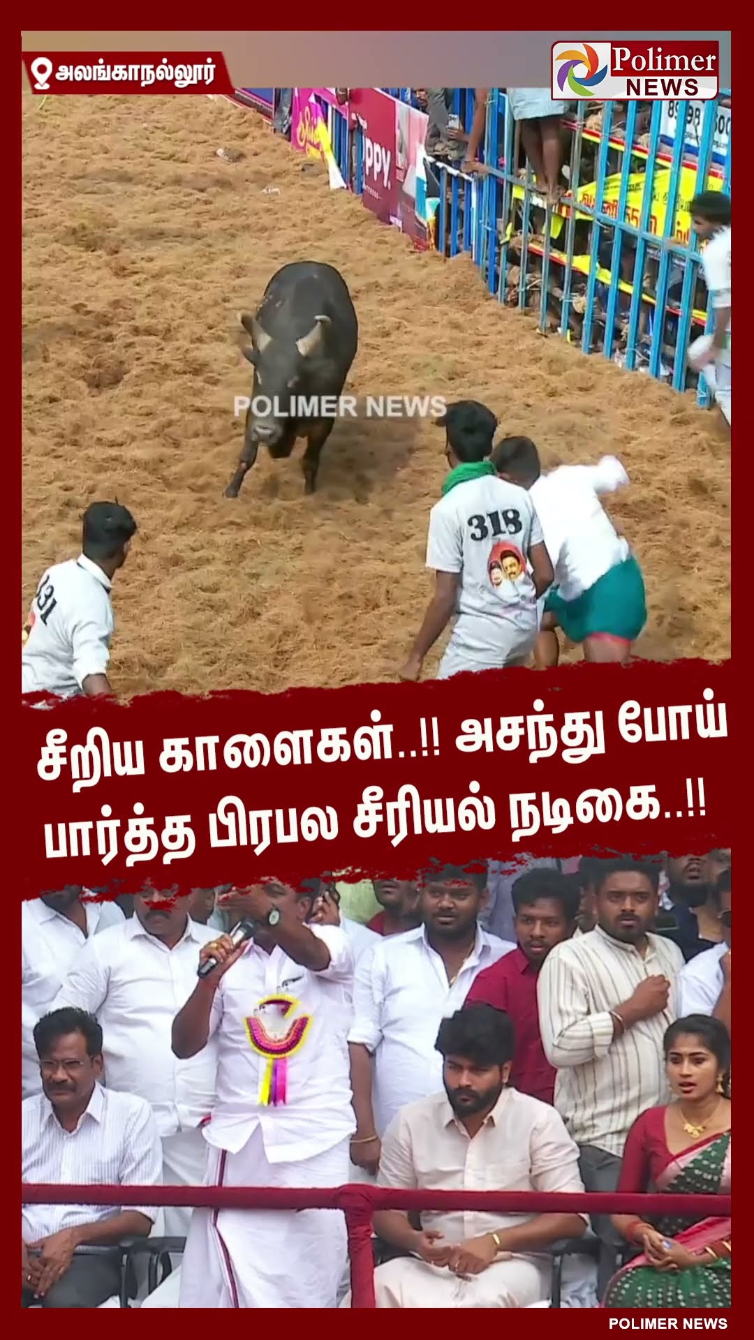சீறிய காளைகள்..!! அசந்து போய் பார்த்த பிரபல சீரியல் நடிகை..!!  #shorts | #alanganallurjallikattu