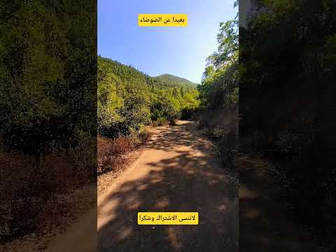 يالها من رحة نفسية واجتماعية واقتصادية وبيولوحية في أدغال الغابة بعيد عن المجتمع فاسد اكسبلور ال