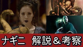 ナギニ解説＆考察【ファンタスティックビースト・ハリーポッター】