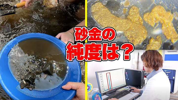 砂金の純度って？川で砂金採って元素分析した結果！！！