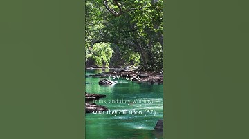 سورة يس - أحمد شكيو - تلاوة خاشعة #قرآن #قران_كريم #تلاوة_خاشعة #اسلاميات #ارح_سمعك_وقلبك