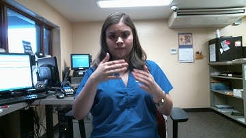 Lesson 4 Assignment 1 SLg 102 Rio Salado