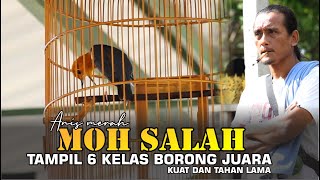 Anis Merah MOH SALAH Borong Juara || TERBAIK 1,1,1,2,10