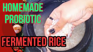 PROBIOTIC FERMENTED RICE BENEFITS IN TAMIL | பழைய சாதம் நன்மைகள் |  -CHADDANNAM | പഴംകഞ്ഞി | பழையது