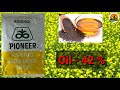 सरसों की टॉप 3 किस्में | High quality mustard seed | Top 3