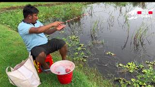 Fishing in Rainy River | Big Catch with Traditional Hook