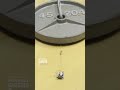 This micro robot can tow thousands of his own weight
