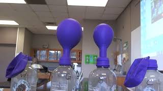 Lab Activity 2a Yeast Fermentation w diff substrates