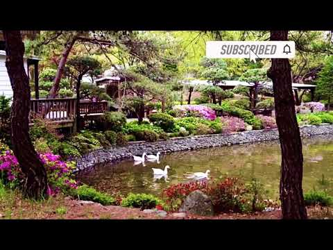 ALLAH Speaks about people who lie.Qualities of liar.