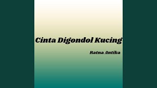 Cinta Digondol Kucing