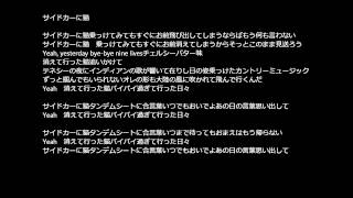 サイドカーに猫