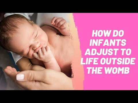 How Do Infants Adjust to Life Outside the Womb