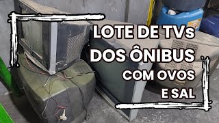 LOTE DE TVs DA GARAGEM DE ÔNIBUS - COM OVOS E SAL