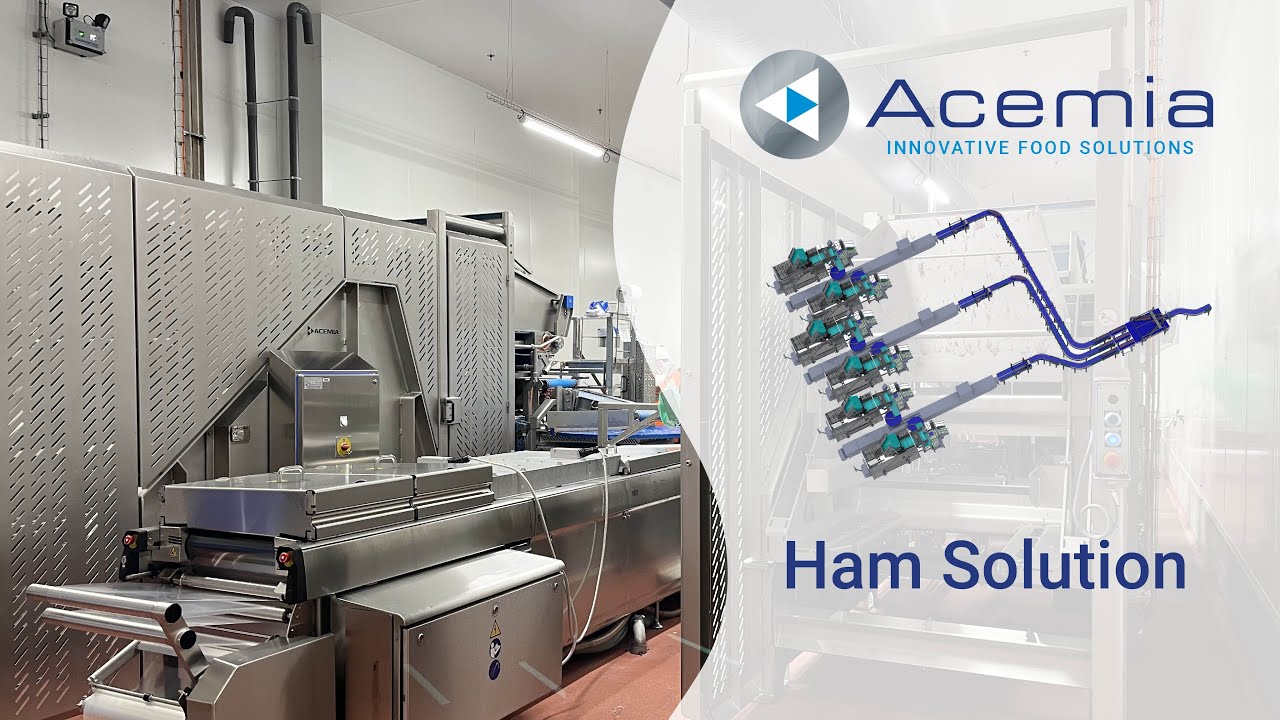Ham Solution | ACEMIA