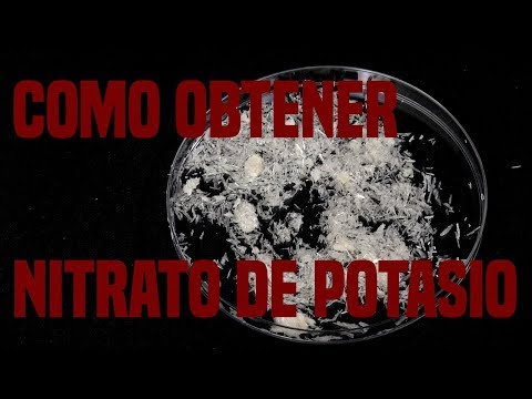 PURIFICANDO SALITRE | NITRATO DE POTASIO