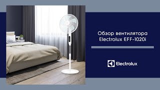 Electrolux EFF-1020i Series Fan Review