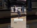 Wannabe Superhero Leaps Over NYC Subway Tracks #Shorts