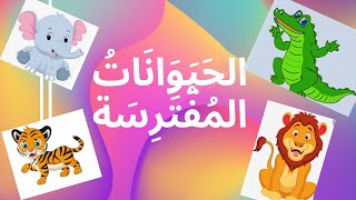 معلومات عامة عن الحيوانات | للأطفال | الحيوانات المفترسة