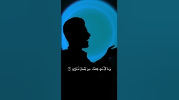 وَلَسَوۡفَ يَرۡضَىٰ|القارئ عبدالصاحب اللهيبي #قران_كريم #تلاوة_خاشعة #عبدالصاحب_اللهيبي