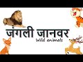 wild animal names in hindi | preschool videos | wild animals