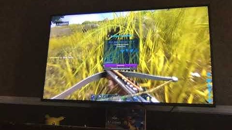 how to tame a phiomia in ark survival evolved