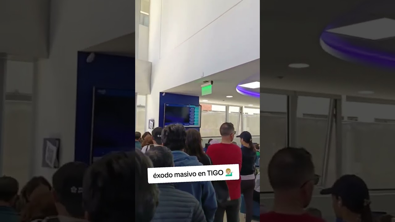 Todos se van de t1G0 