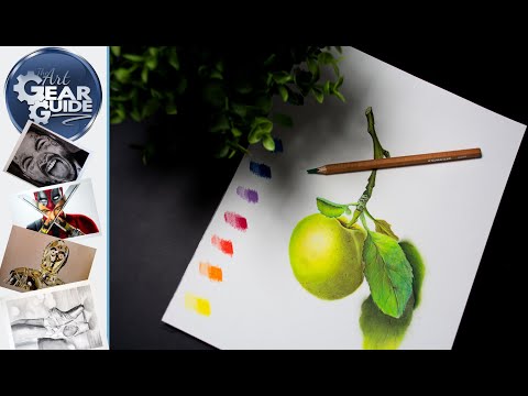 Staedtler Pastel Pencil Botanical Speed Drawing Demonstration