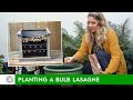 Bulb Lasagne! How to plant a layered pot of spring bulbs - FarmerGracy.co.uk