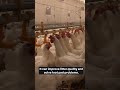 Why Choosing the Right Drinking System for Your Breeder Chickens Matters